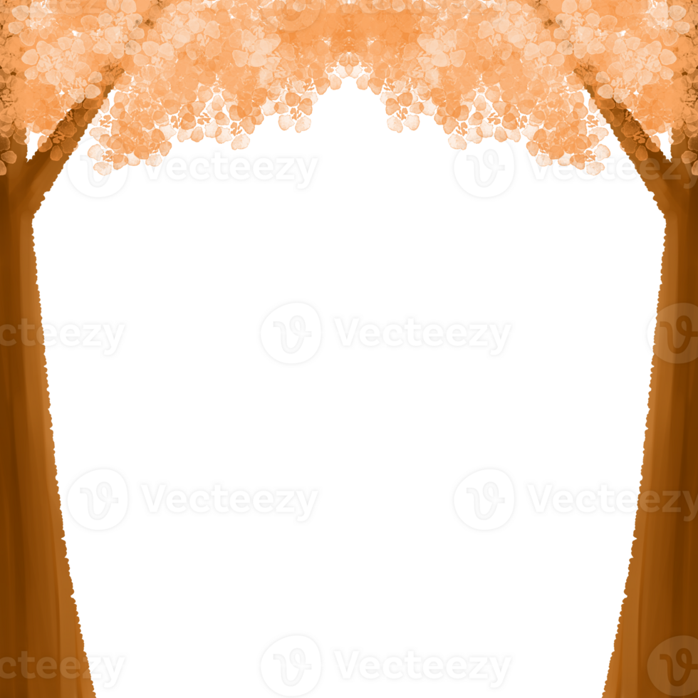 Orange Trees Illustration png