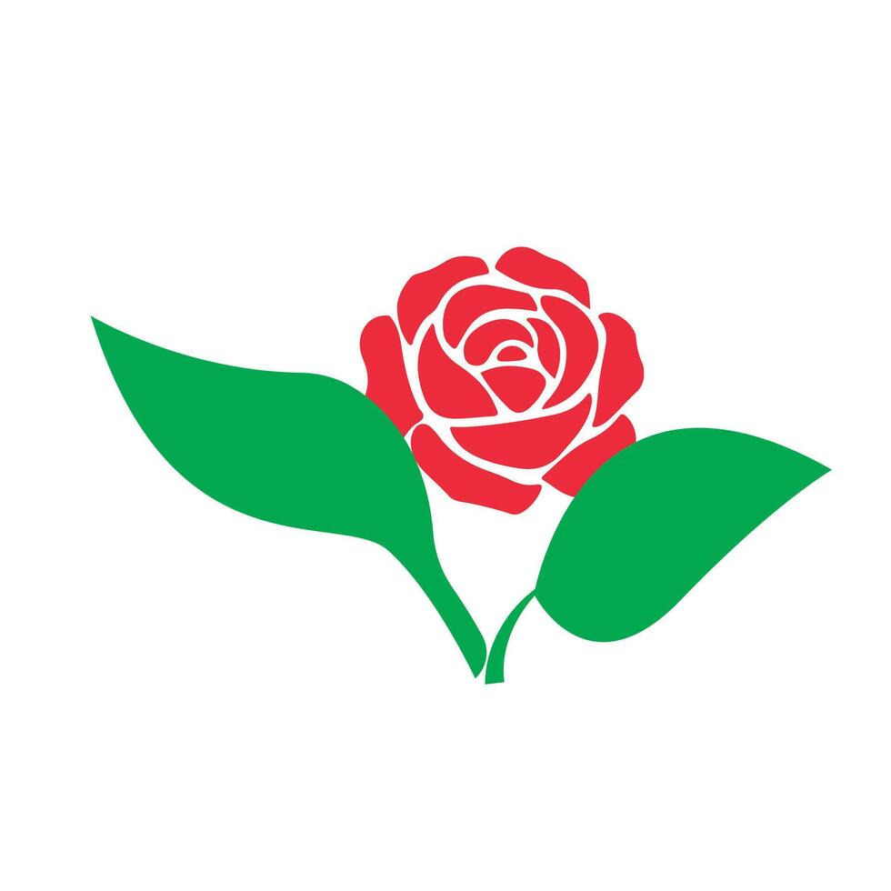 Elegant Red Rose Illustration With Green Leaves vector