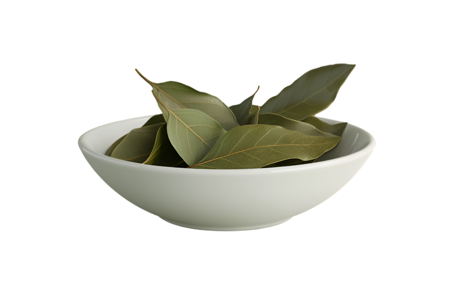 Bay leaves in a white bowl isolated on a transparent background png