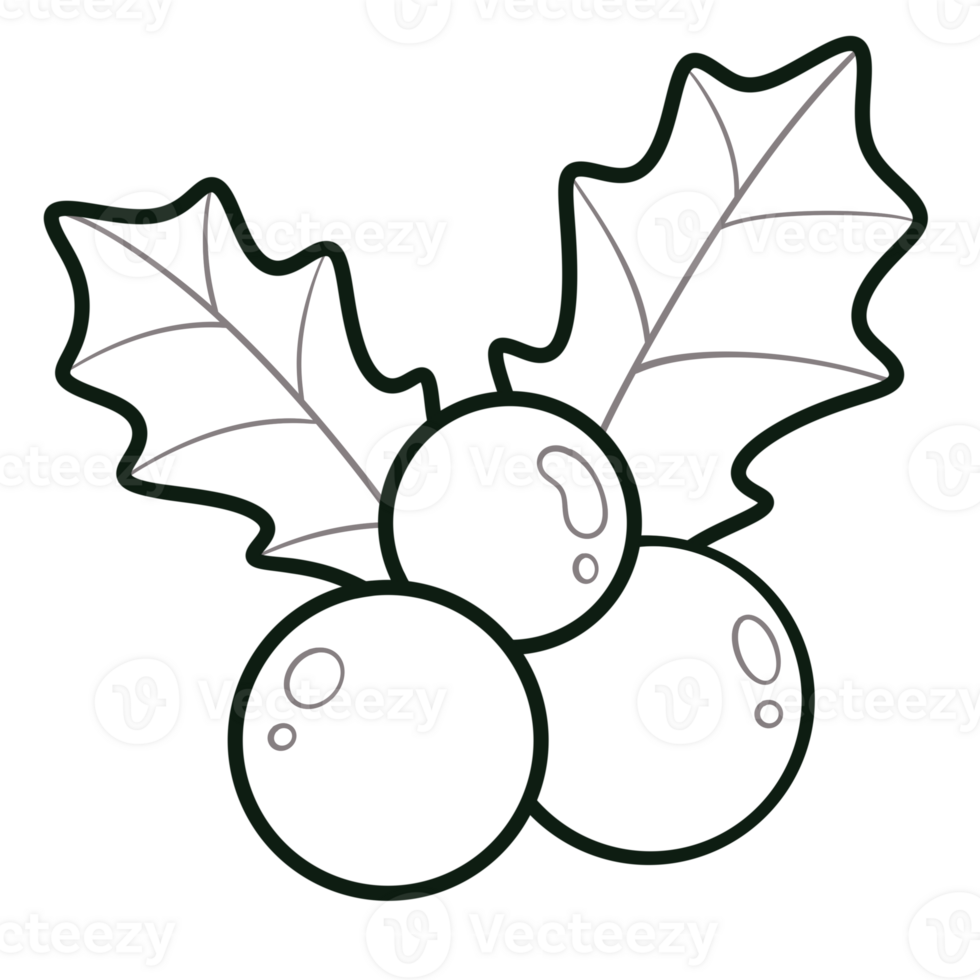 Holly Line Art Doodle Illustration png