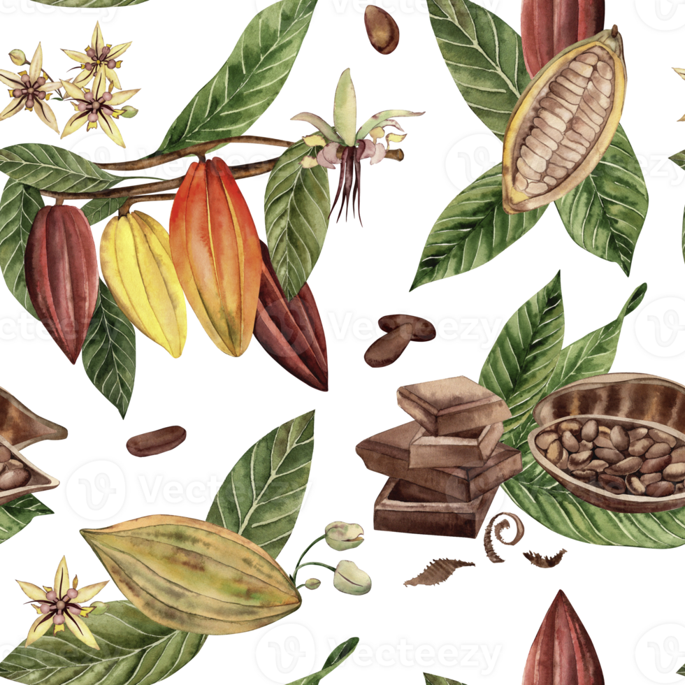 Seamless pattern with pieces of chocolate, fruits, flowers, leaves of the cocoa tree. The illustration of a tropical plant is hand-painted in watercolor in a botanical style. For fabric, wallpaper png