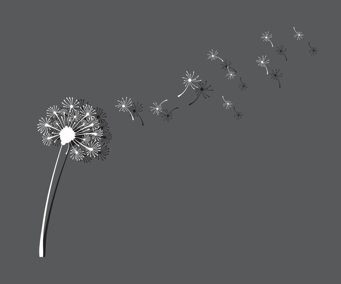 White dandelion seeds blowing in the wind. nature illustration. flying flower. vector