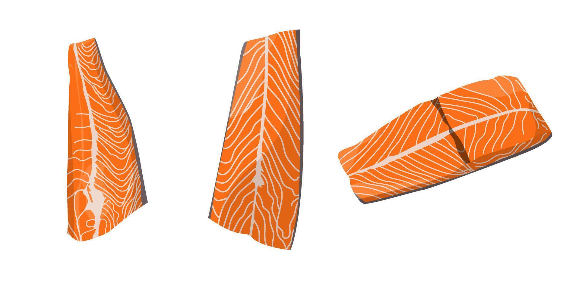 salmon meat illustration collection vector