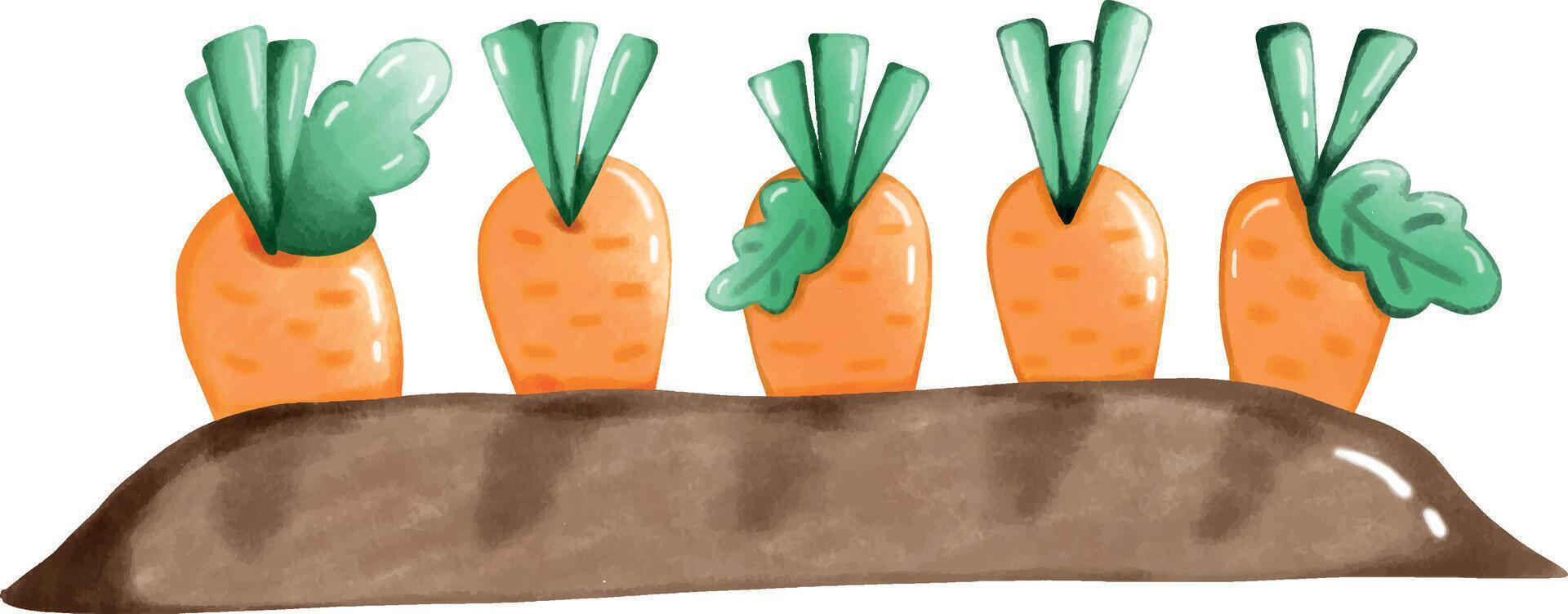 carrots in a hole illustration vector