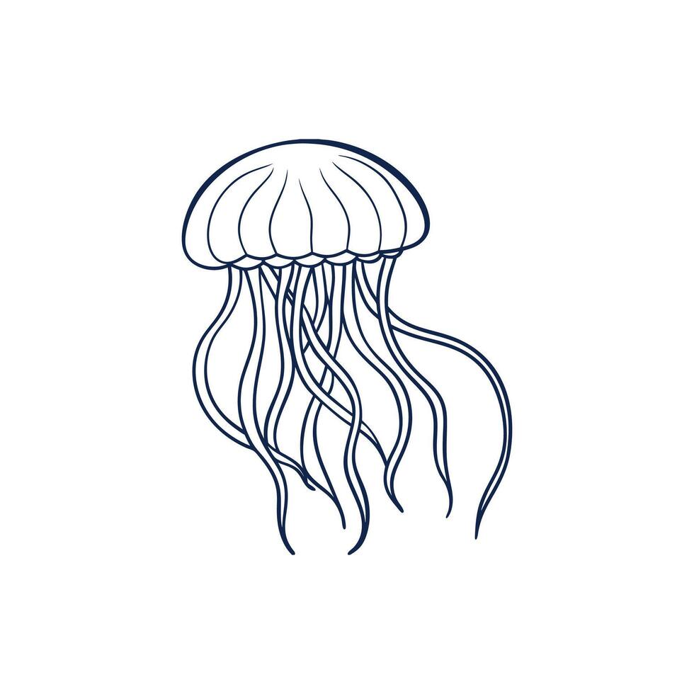 Jellyfish illustration on white background vector