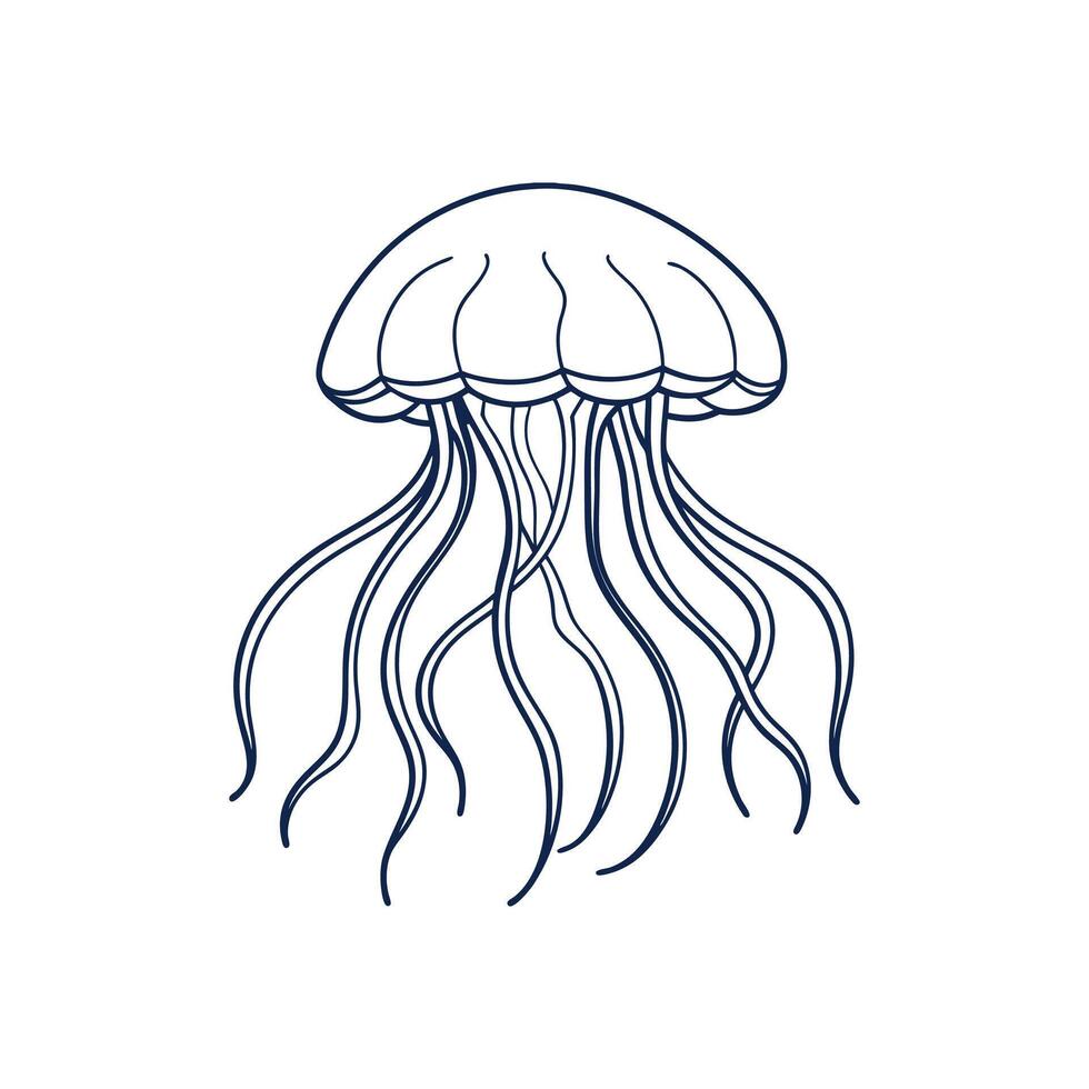 Detailed Jellyfish Drawing in Lines vector
