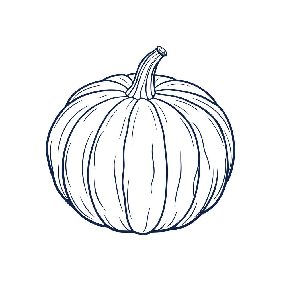 Hand-Drawn Pumpkin Lines vector