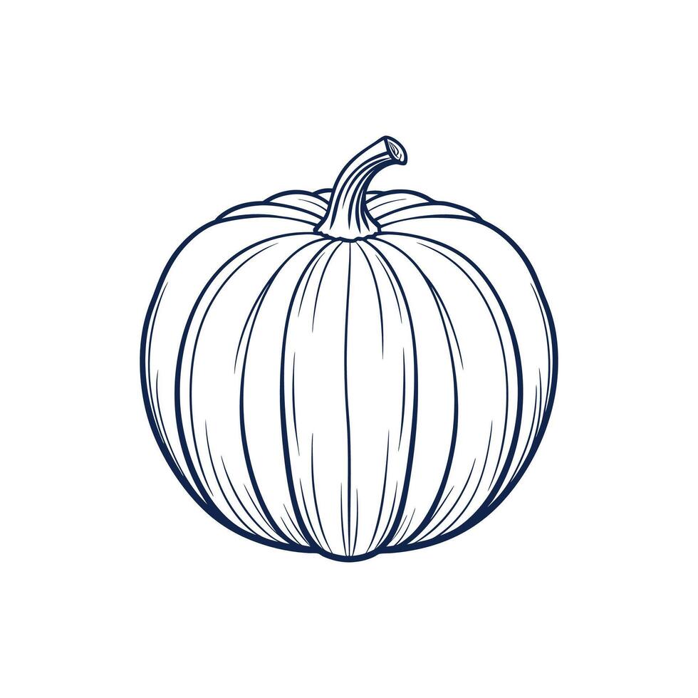 Pumpkin Line Art vector