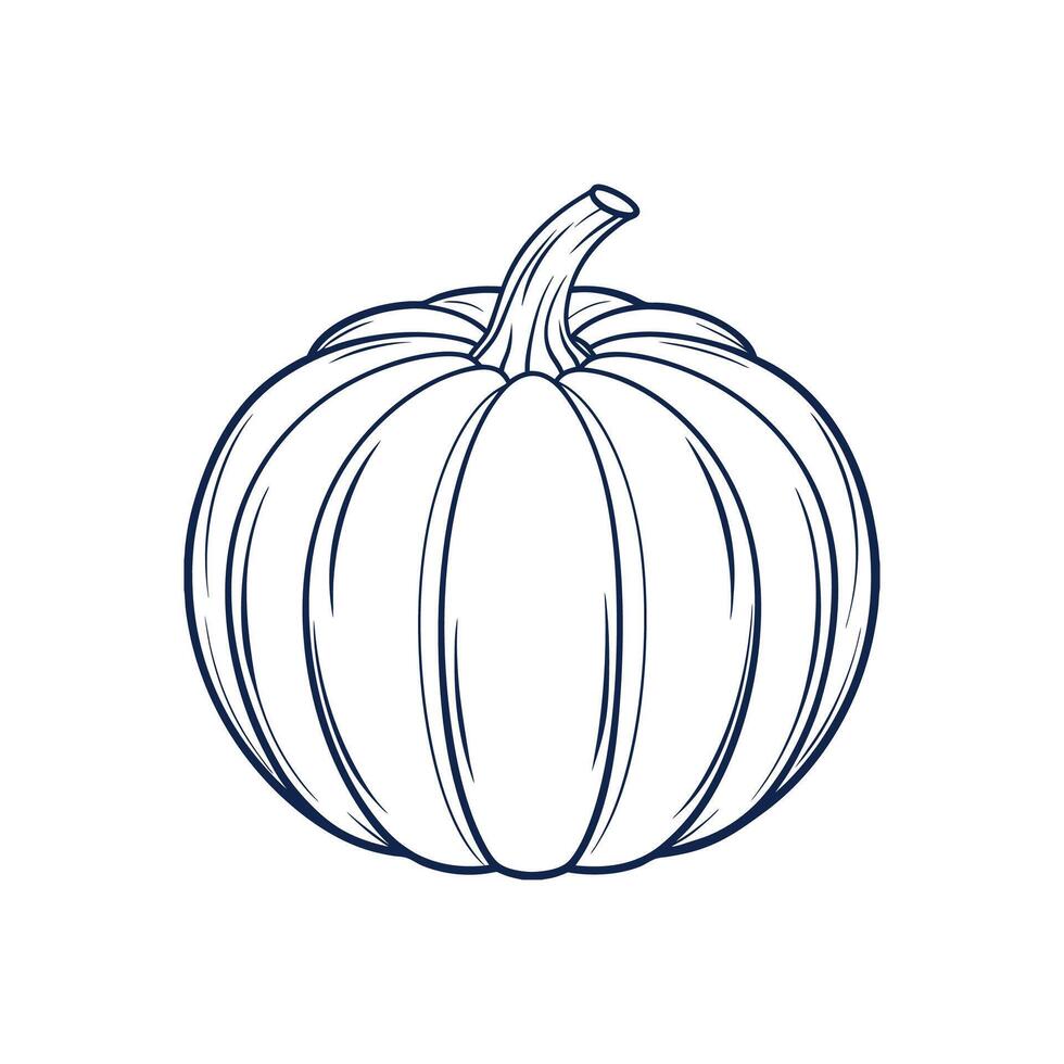 Simple Pumpkin Sketches vector