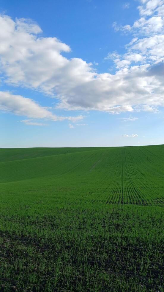 A view of a field with clouds and blue sky photo
