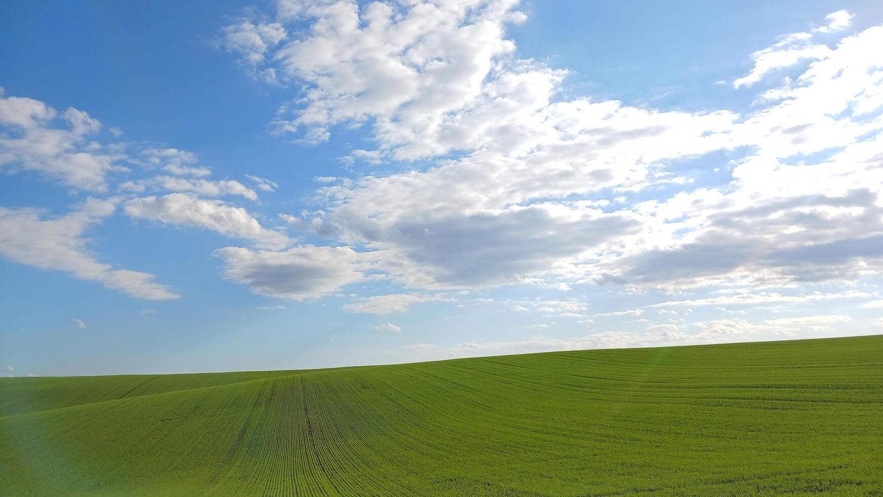 A green field with clouds and blue sky photo