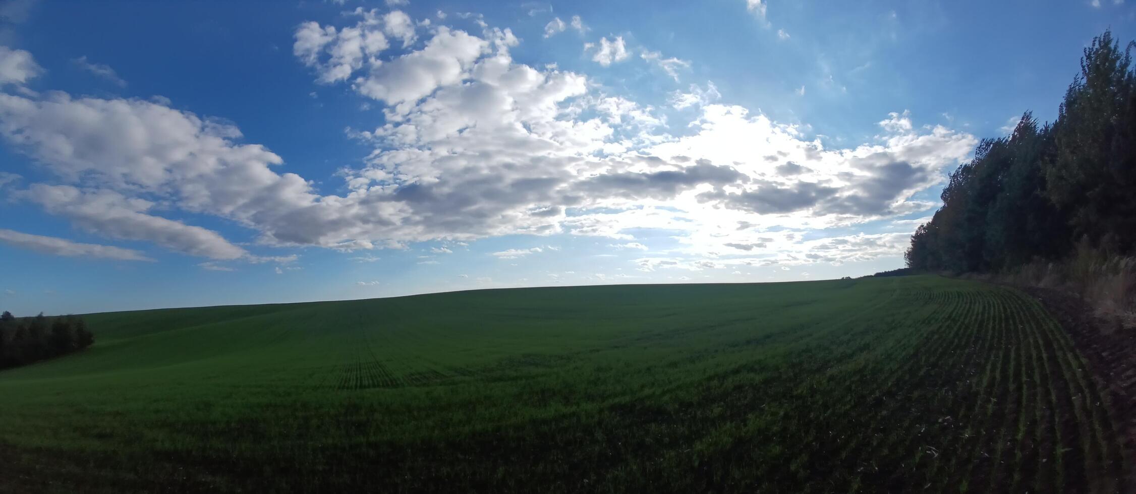 A panoramic view of a field with trees and clouds photo