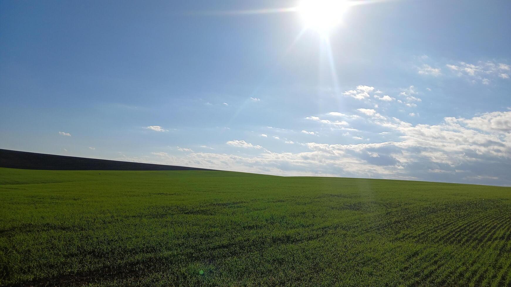 A large field with a sun shining in the sky photo