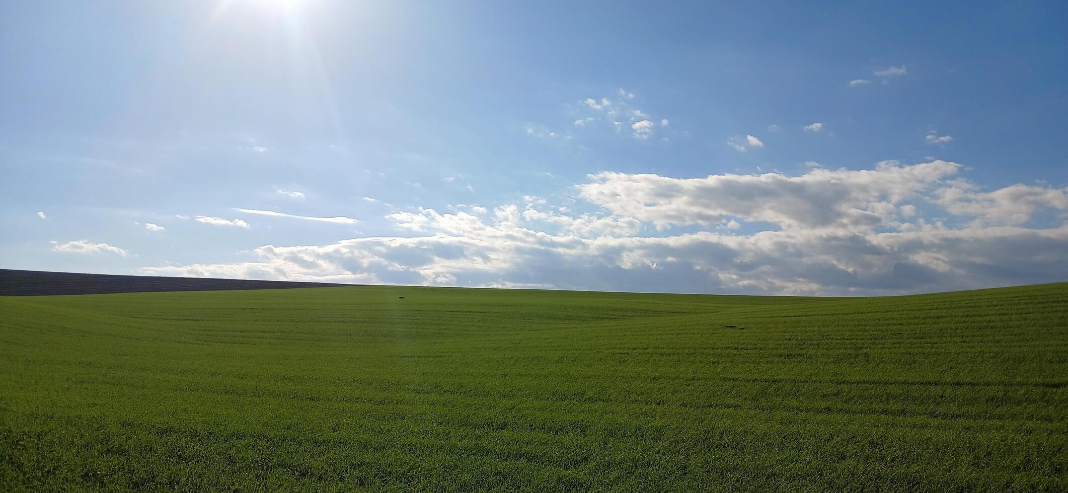 A field with green grass and clouds photo