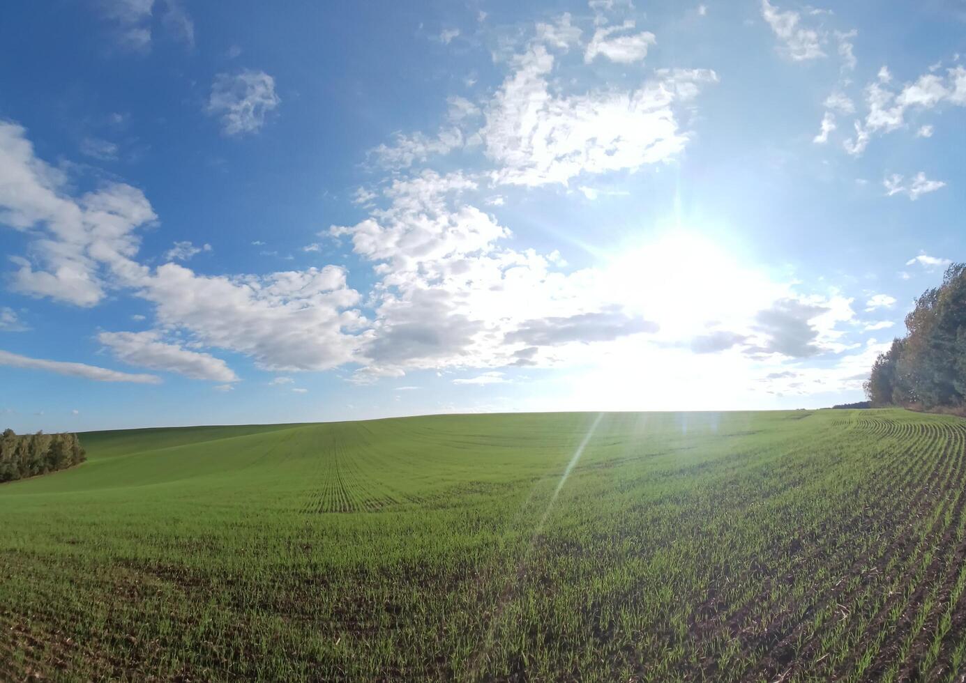 A panoramic view of a field with sun shining photo