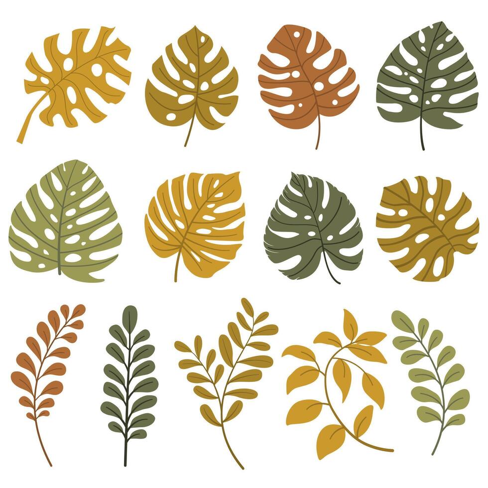 Set of Hand drawn decorative elements. vector
