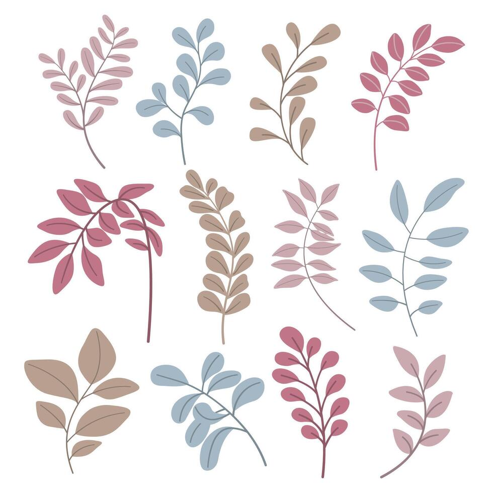 Set of leaves. Hand drawn leaves shape. vector