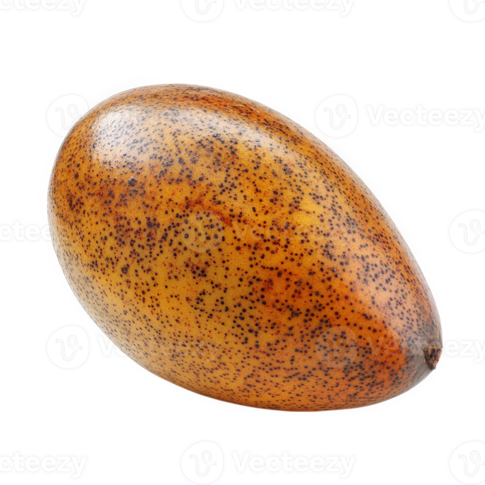 A Single Ripe Olive Displays Its Rich Brown Hues png