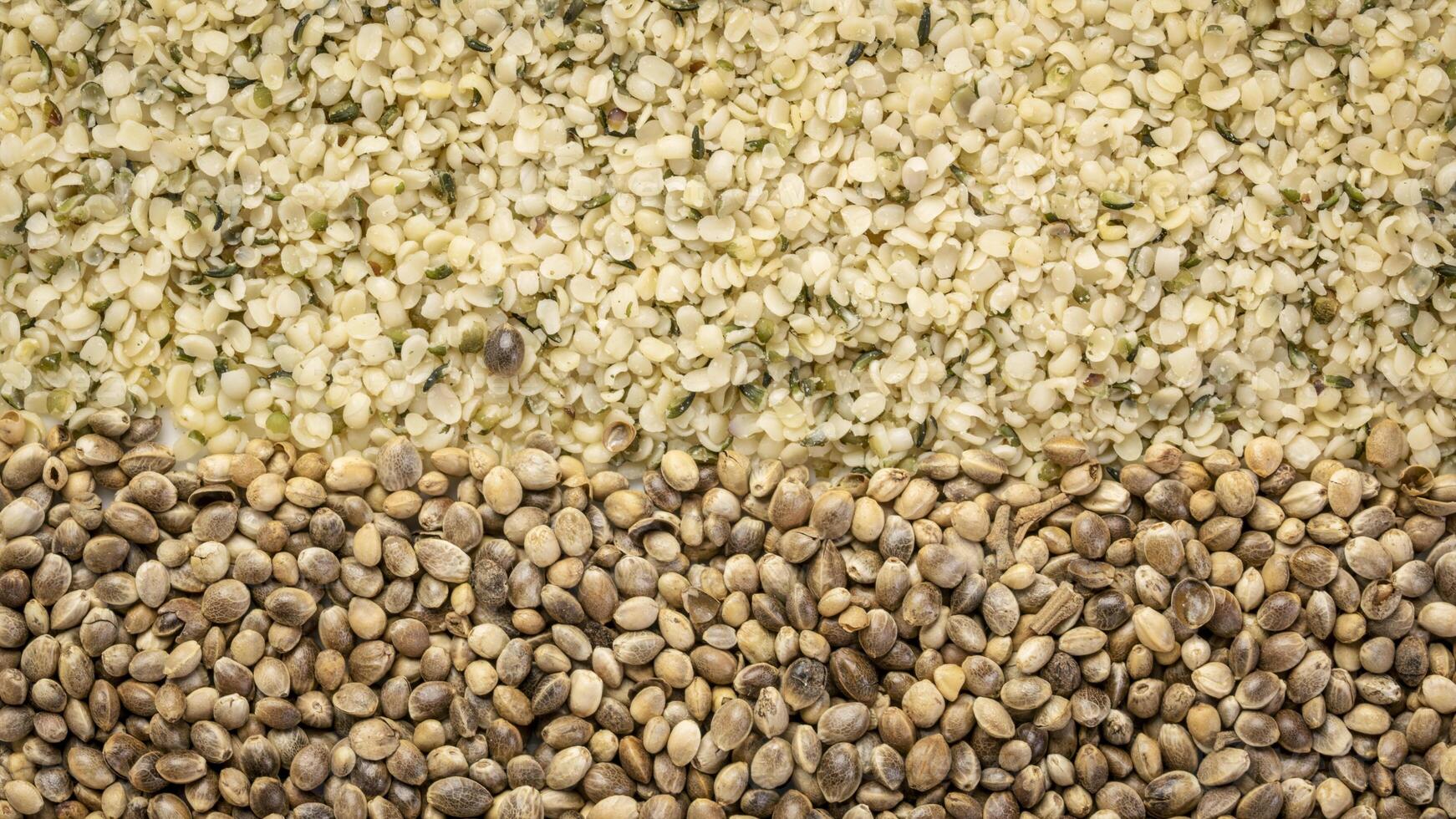 hemp seeds and hearts background photo
