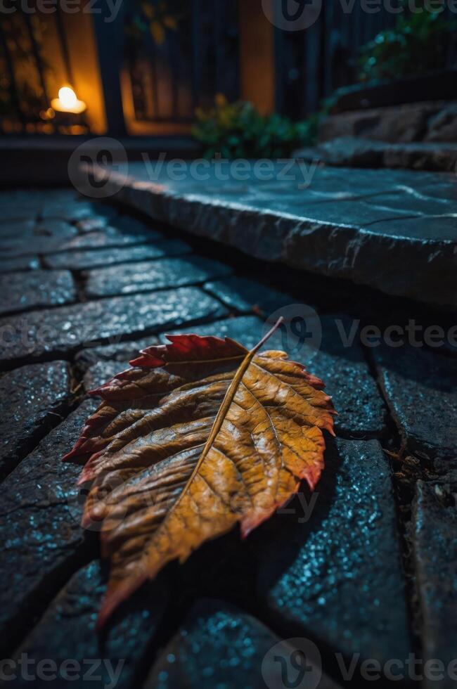 A close-up of a vibrant autumn leaf on a wet stone pathway, illuminated by soft light. photo