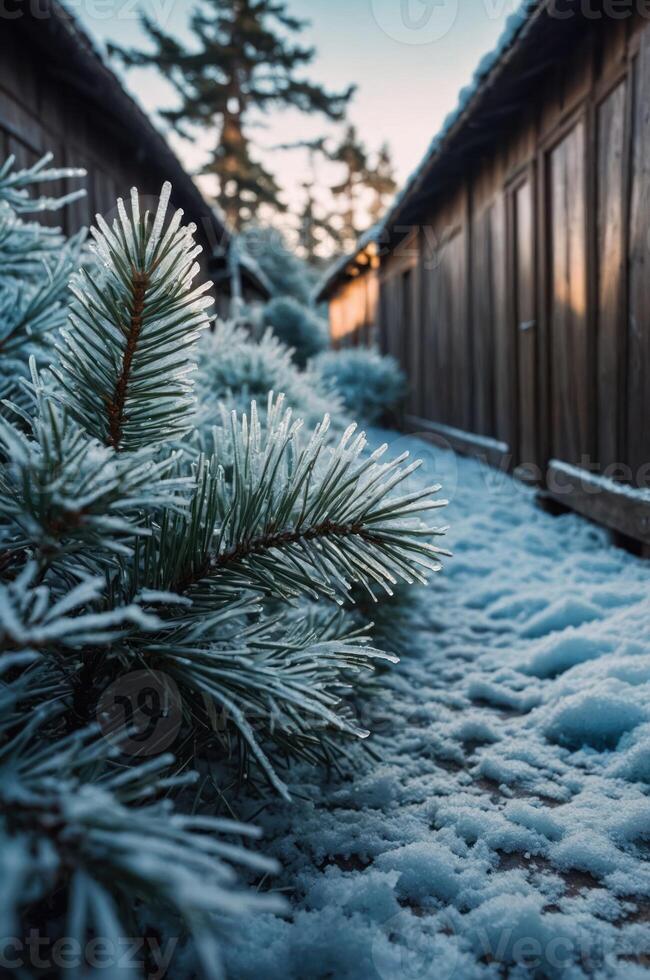 A serene winter scene featuring snow-covered ground and frosted pine branches between wooden structures. photo