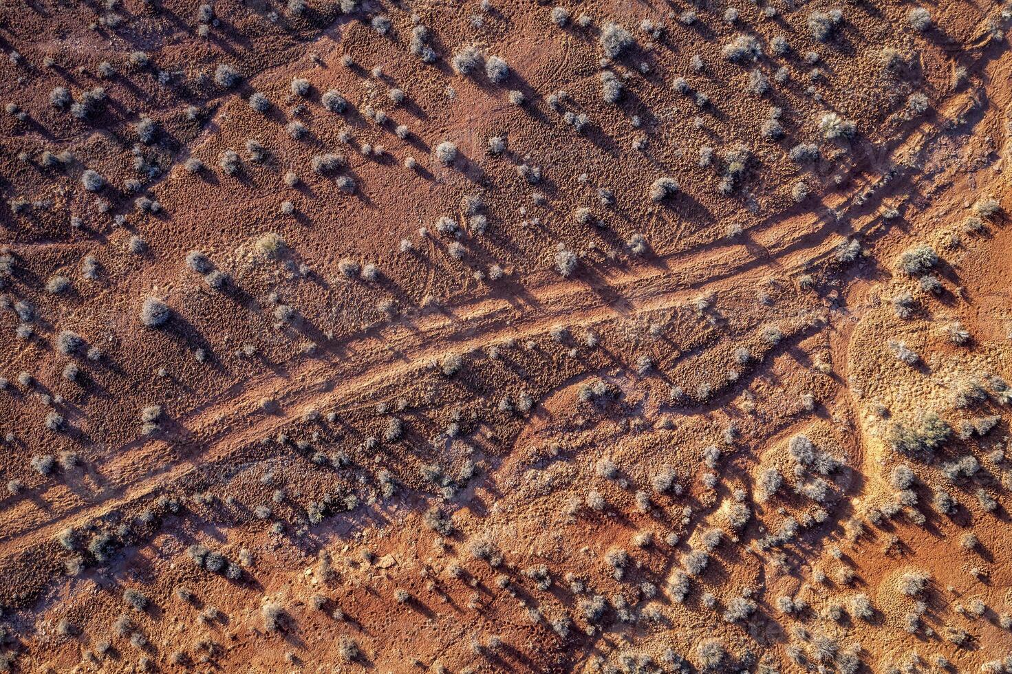 desert road aerial view photo
