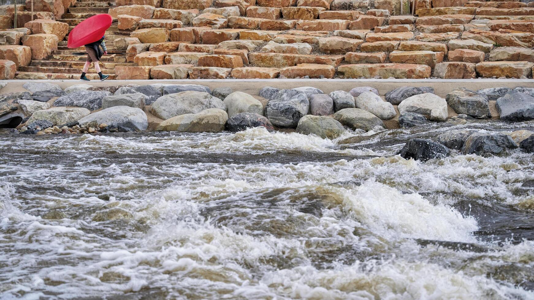 kayaker is carrying a kayak upstream in Poudre River Whitewater Park photo