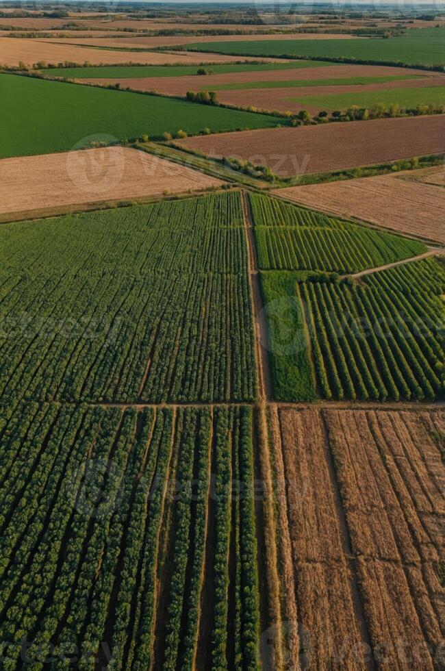 Aerial view of diverse agricultural fields showcasing various crops and land use patterns. photo