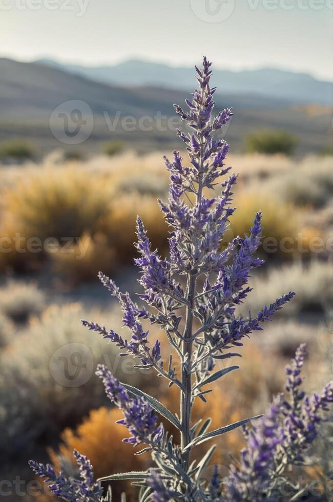 A close-up of a purple flowering plant in a natural landscape with mountains in the background. photo