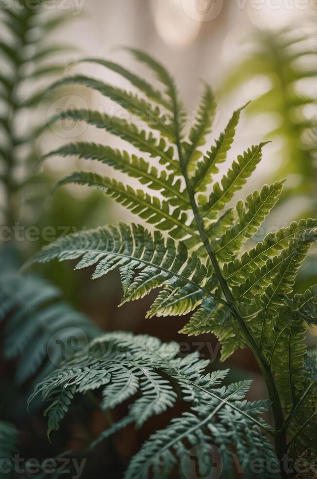 Close-up of lush green ferns showcasing intricate leaf patterns in a natural setting. photo