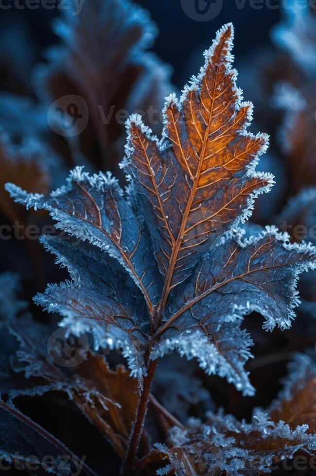 A close-up of a frosted leaf, showcasing intricate ice patterns and warm hues. photo