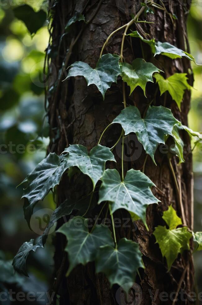 A close-up of ivy leaves climbing a textured tree trunk in a lush, green environment. photo