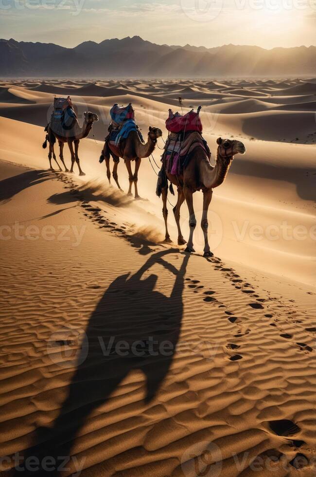 Camels walking through a sandy desert at sunset, casting long shadows. photo