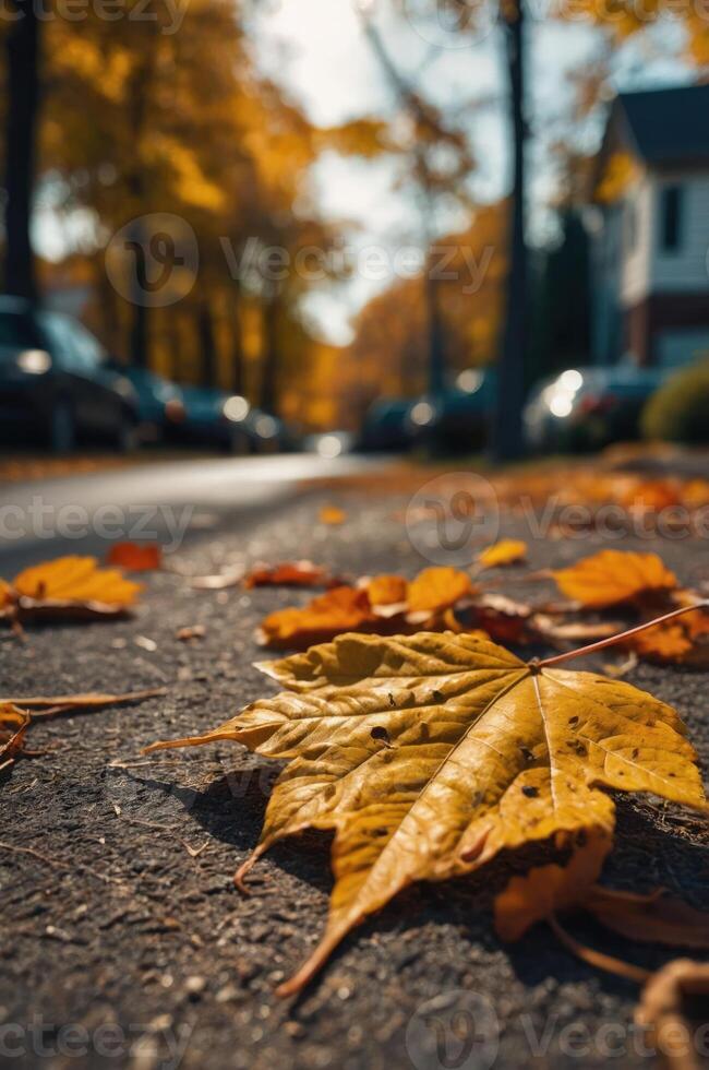 A close-up of autumn leaves on a sidewalk, capturing the essence of the fall season. photo