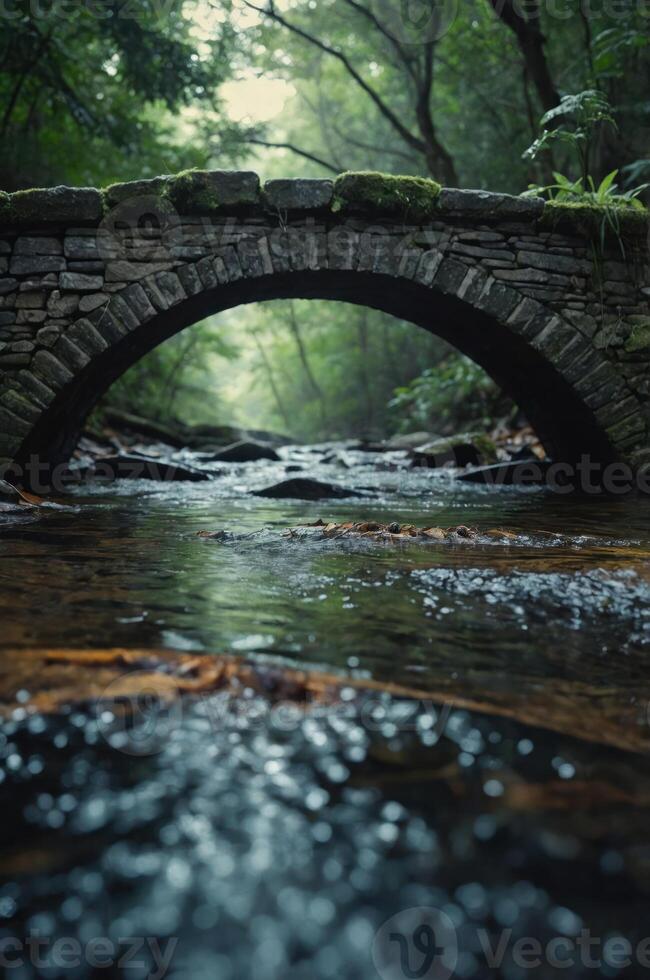 A serene stone bridge arches over a tranquil stream in a lush, green forest. photo