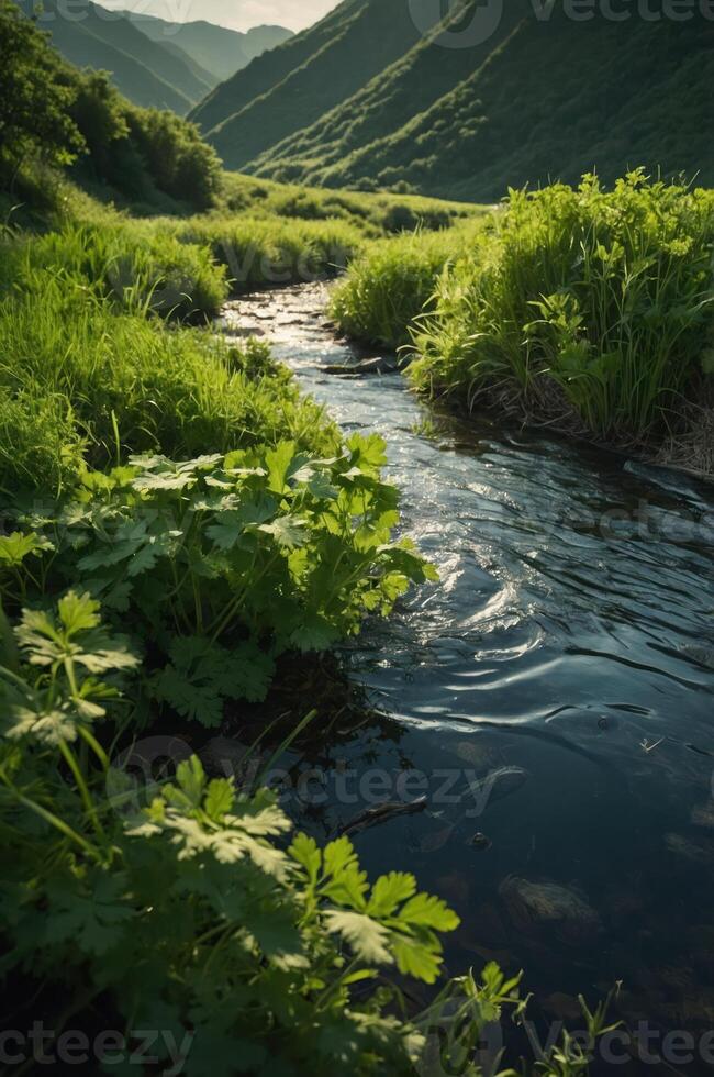 A serene stream flows through lush green hills, showcasing the beauty of nature. photo