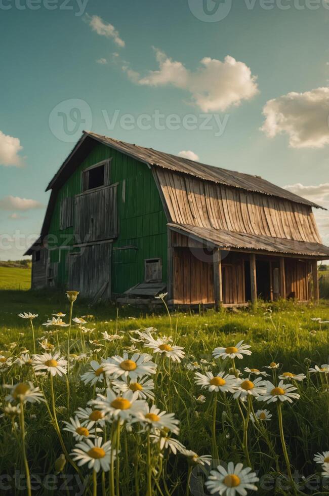 A rustic green barn surrounded by daisies under a blue sky with fluffy clouds. photo