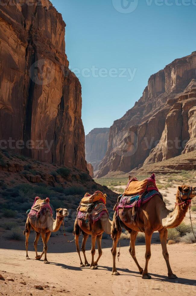 Camels walking through a canyon, showcasing a desert landscape. photo