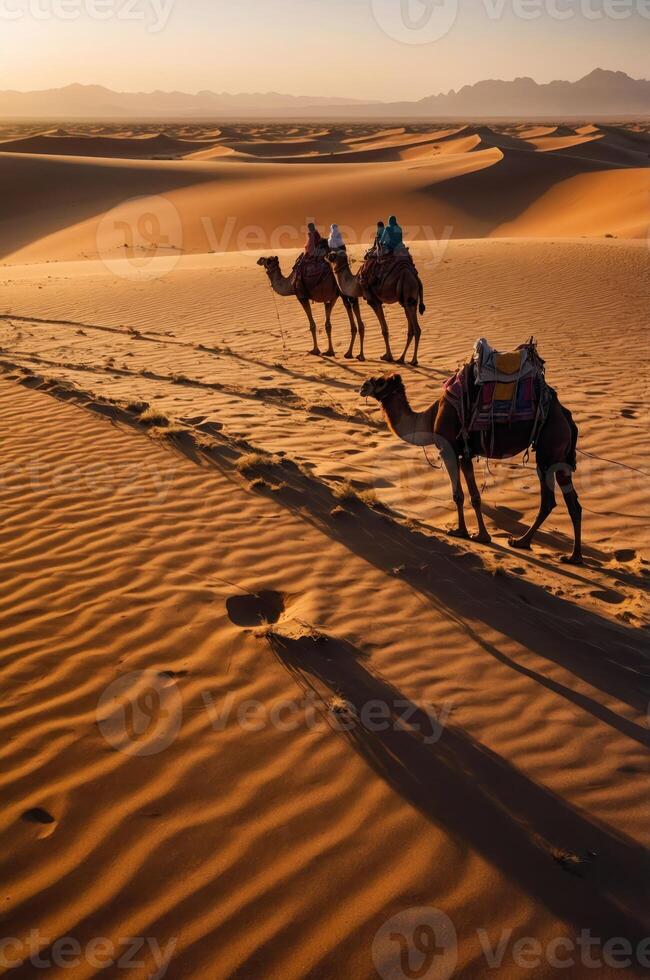 Camels walking through golden sand dunes at sunset, highlighting desert travel and exploration. photo