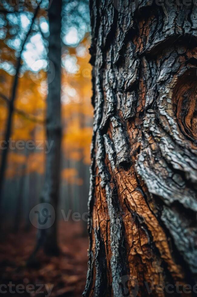 Close-up of a textured tree trunk with blurred autumn foliage in the background. photo