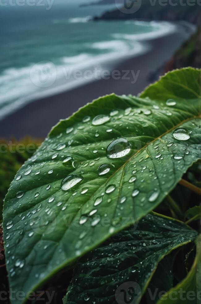 A close-up of a leaf with water droplets, overlooking a serene beach and ocean. photo