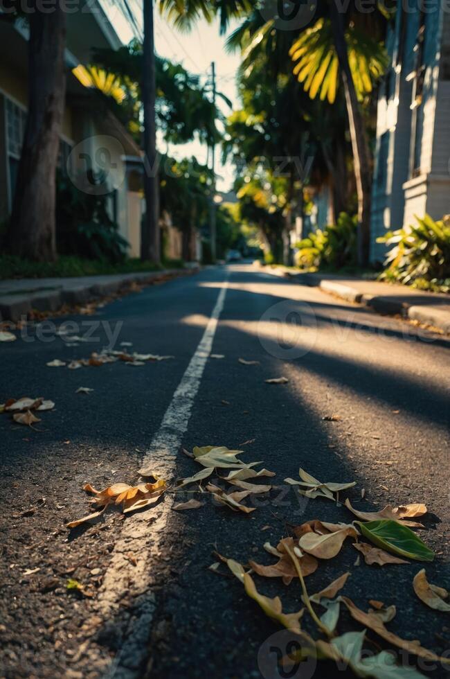 A quiet street lined with palm trees and fallen leaves, capturing a serene urban atmosphere. photo