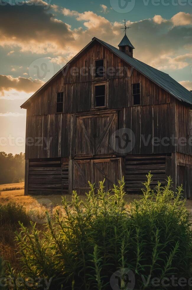 A rustic wooden barn at sunset, surrounded by tall grass and a serene landscape. photo