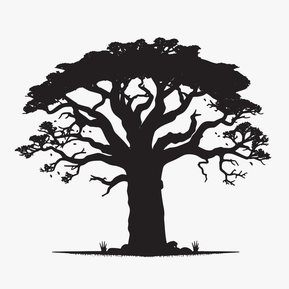 Baobab Tree Silhouette with Bright White Background vector