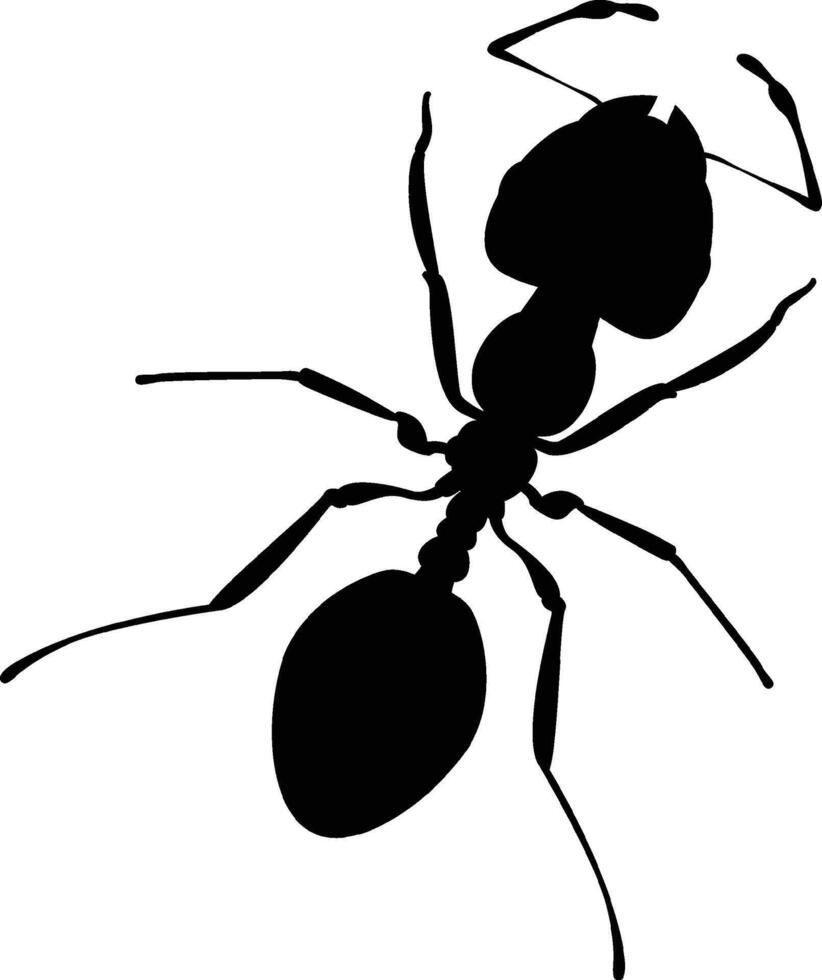 Ant Silhouette Icon for Nature, Insects, and Ecology vector