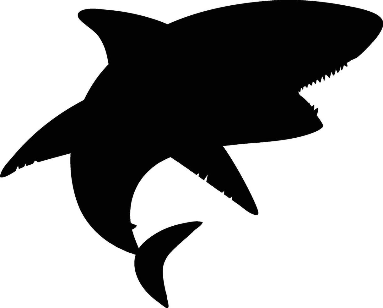 Shark Icon, Ocean Predator Symbol, Marine Animal vector