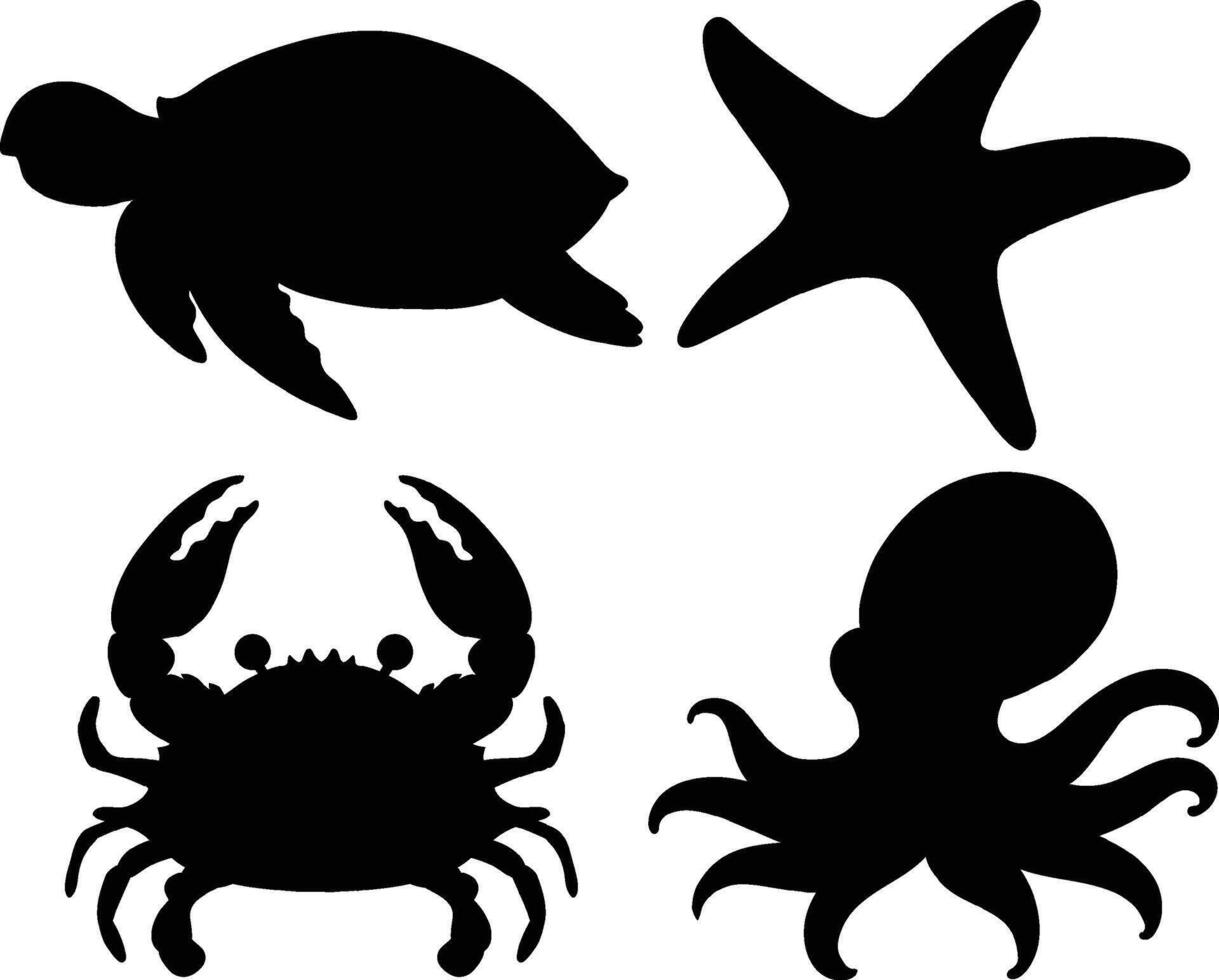 Silhouette of a Starfish, Marine Life Icon, Ocean Symbol vector