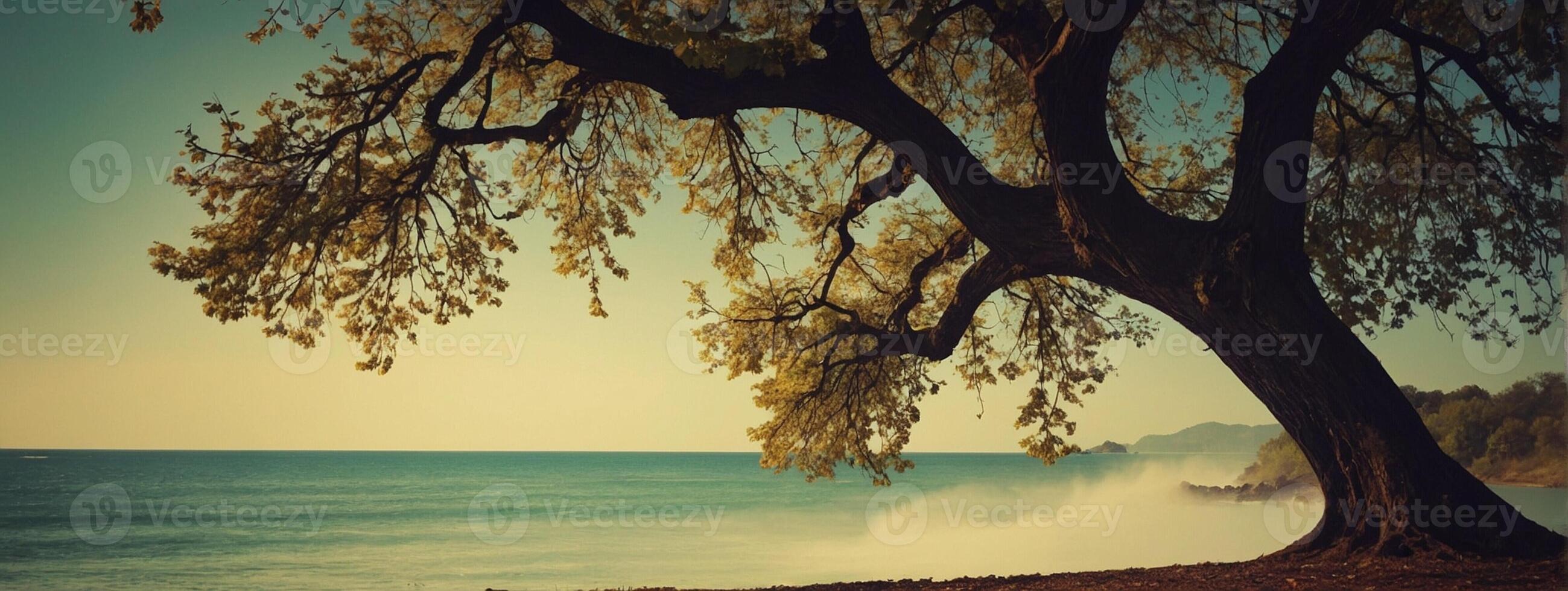 A tree is sitting on the beach next to the ocean photo