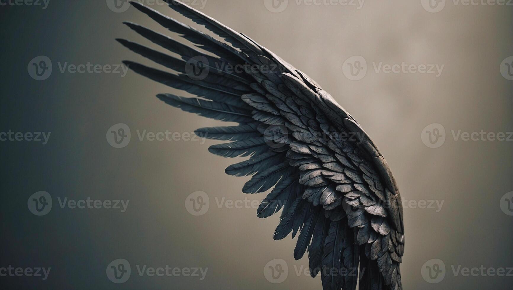 An angel wing is shown in this photo