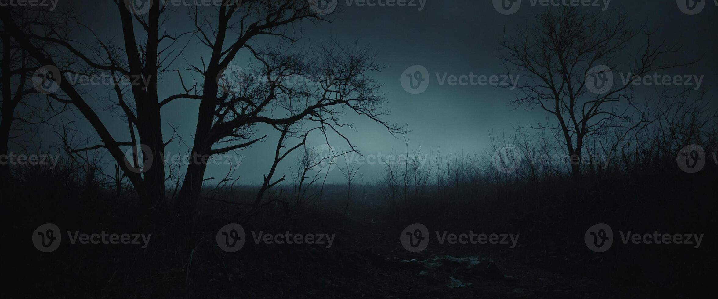 A dark forest with trees and a dark sky photo